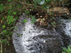 -荔枝公园(福田区)