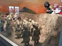 泰迪熊博物馆-济州岛泰迪熊博物馆