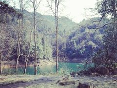 -酒仙湖景区