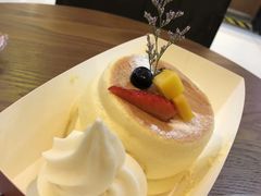 -狐狸和向日葵(北京路店)