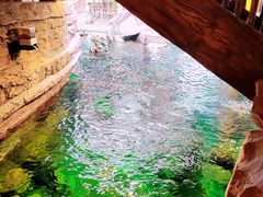 -长鹿旅游休博园