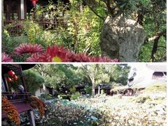 -上海醉白池公园