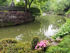 -上海醉白池公园