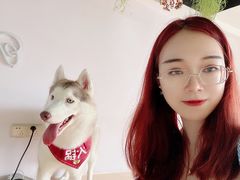 -Husky Go! 哈士奇体验馆·宠物咖啡厅狗咖