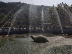 -顺峰山公园