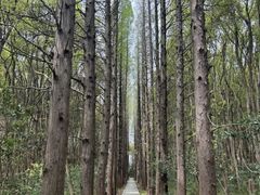 -同里国家湿地公园