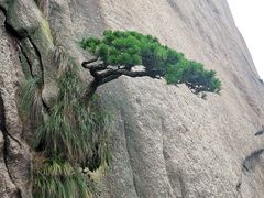 -天柱山风景区