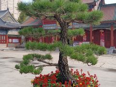 -西安大兴善寺