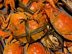 -一方渔歌蒸汽海鲜自助(文化路万达广场店)