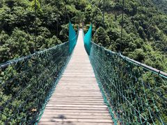 -遂昌金矿国家矿山公园