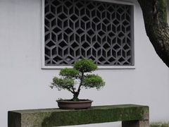 -绍兴古城