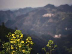 -石潭村