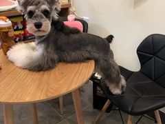 -小尾巴宠物店(万科·金域华庭店)