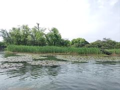 -西溪国家湿地公园