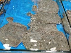 -韩家墅海吉星农产品批发市场