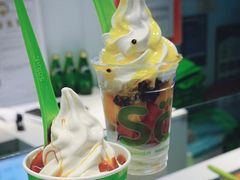 -Salud撒露欧洲冻酸奶(蓝色港湾店)