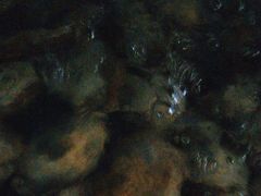 -阿伟海鲜楼·福建菜(延寿店)