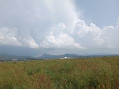 -敕勒川草原