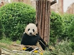 -大连森林动物园