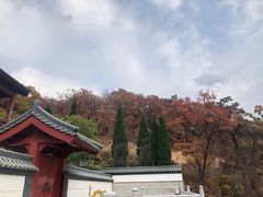 -横山寺