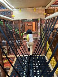 -卡通尼·Safari非洲探索乐园·生日会(金桥国际商业广场店)