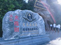 -大槐树寻根祭祖园