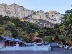 -大芦花风景区