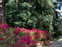 -三亚湾海居铂尔曼度假酒店