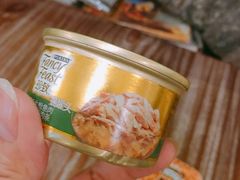 -猫色咖啡·猫咖