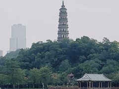 -顺峰山公园