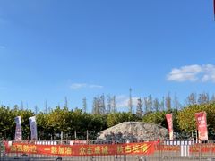 -上海海湾国家森林公园