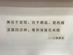 -猫的天空之城概念书店(苏州平江店)