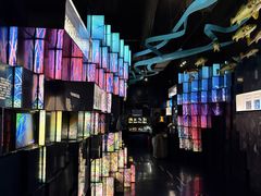 -同济大学四平路校区深海探索馆