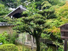 -天龙寺
