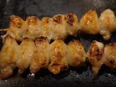 -串鑫