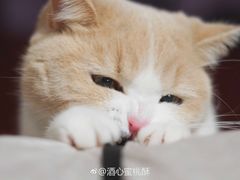 -项记面馆(明瓦廊店)