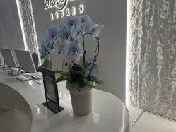 -杭州米兰柏羽医疗美容医院