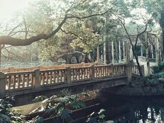 -叶家花园