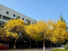 -山东大学(威海校区)