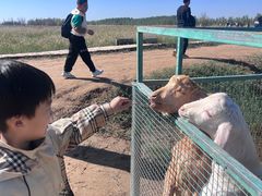 -黄沙古渡原生态旅游区