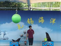-无锡海洋馆