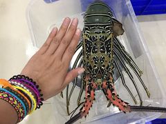 -QQ海鲜餐厅