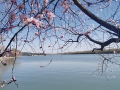 -颐和园