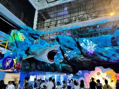 -海合安成都极地海洋公园