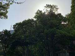 -四川大学(望江校区)