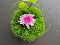 -淮香国色·淮扬菜(正大中心店)
