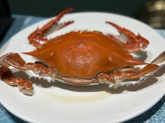 -北塘海鲜·天津菜(大光明桥旗舰店)