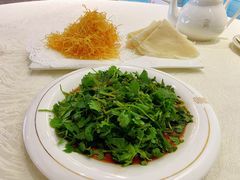 -丁老爷子苏香圆