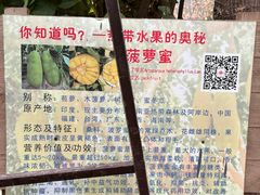 -第五季龙水凤港生态露营农场