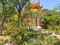 -深圳仙湖植物园